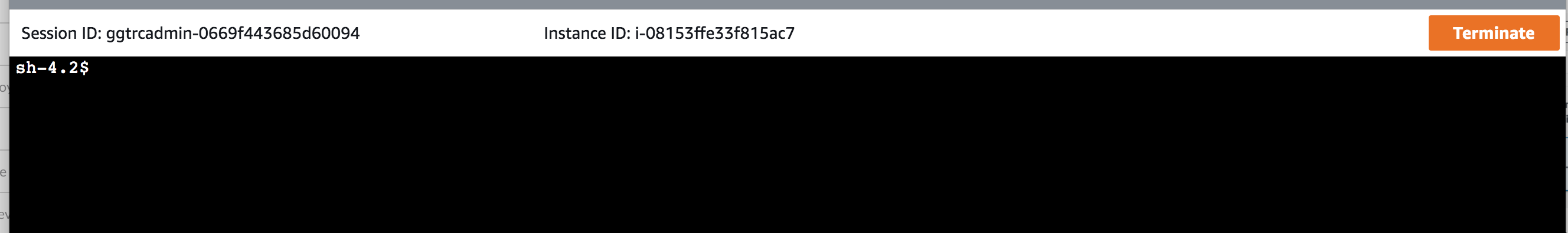 Browser terminal server
