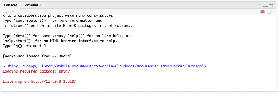 A console screenshot showing various terminal commands and responses related to a Shiny web application running on Docker.