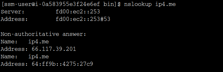 Translated IPv4 address