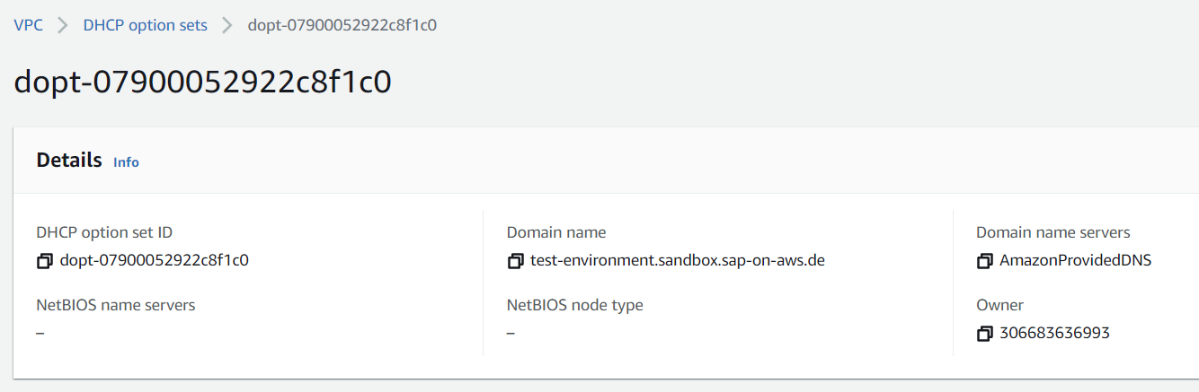 Screenshot DHCP Option Set