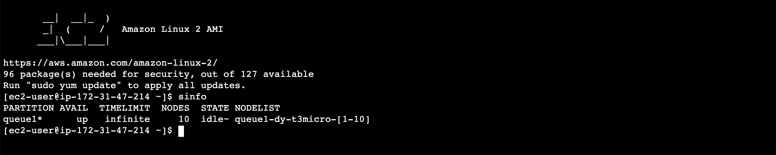 sinfo on Amazon Linux 2