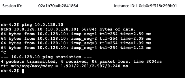 Client DNS Ping