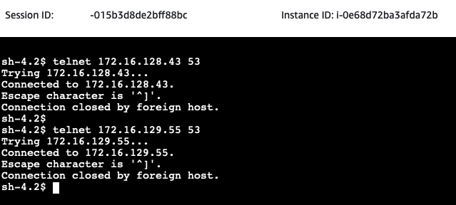 DNS Telnet