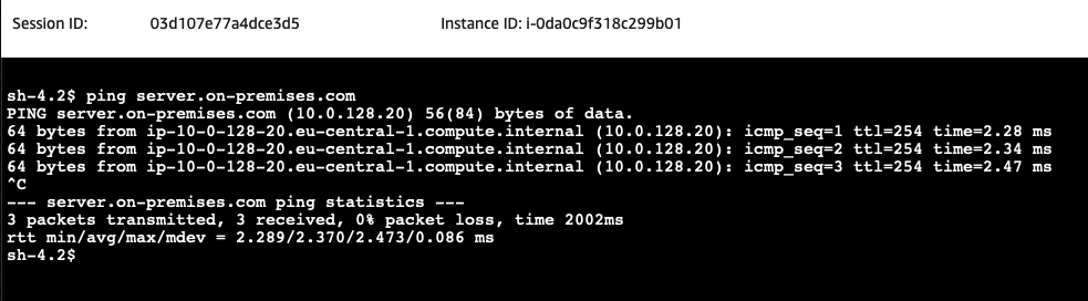 Client Server DNS Ping