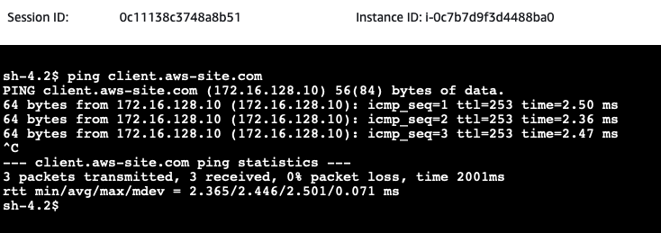 Server Client DNS Ping