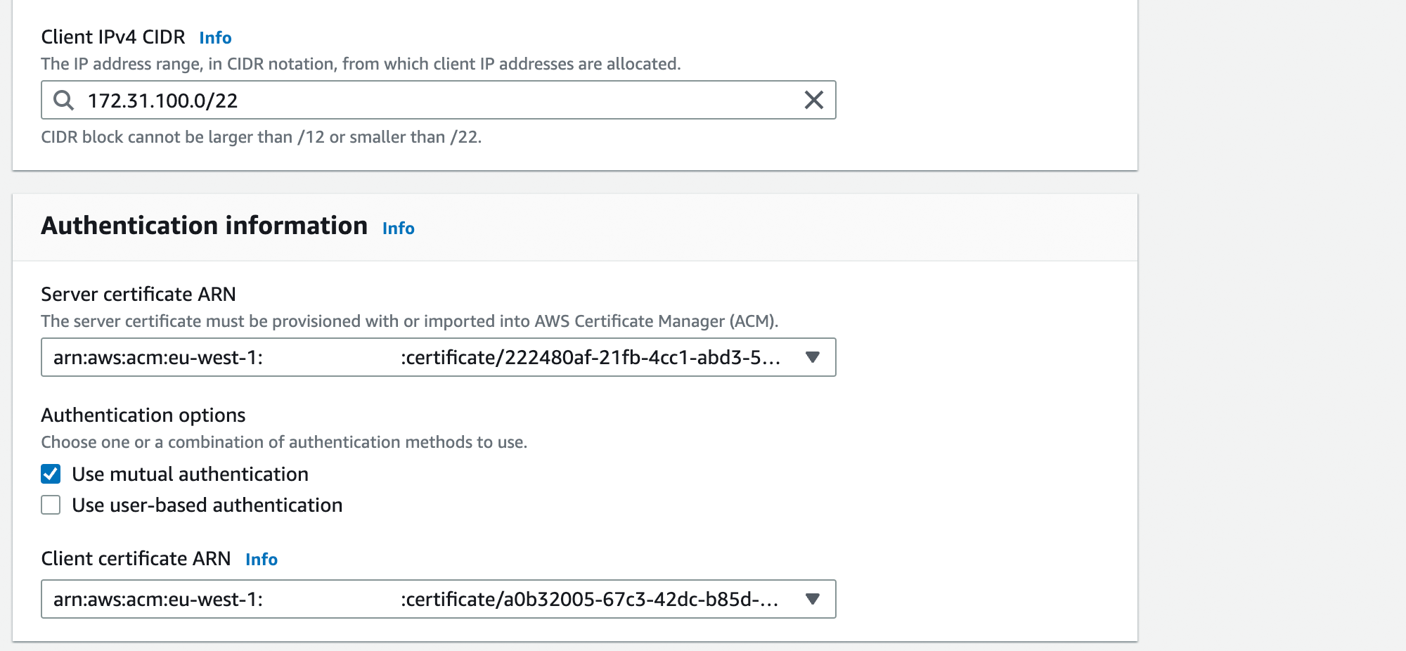 Client VPN Settings