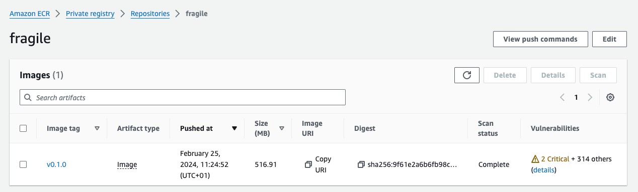 A vulnerable ECR Docker image