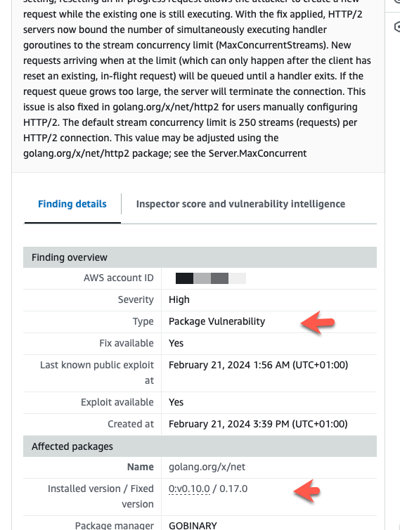 Package Vulnerability