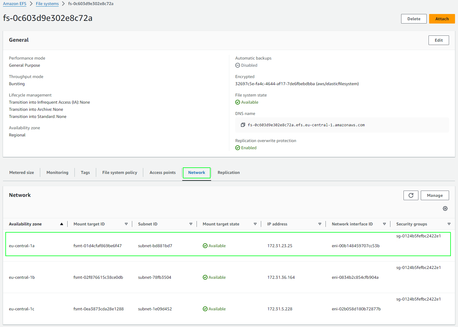 EFS file system network information