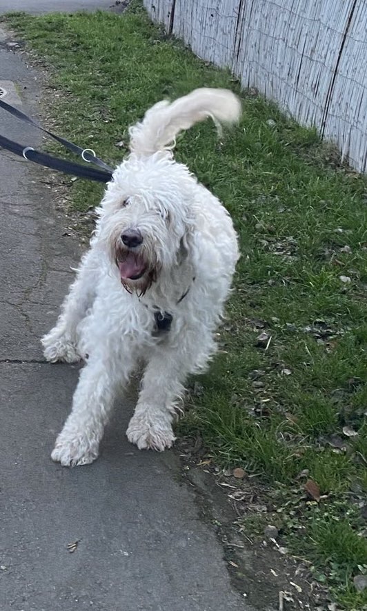 General Service Exception